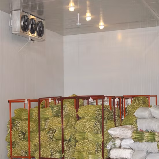 Cold Room Refrigeration System for Food Warehouse