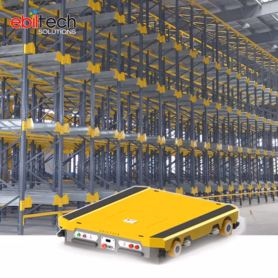 Automatic Radio Controlled Shuttle Warehouse Racking System